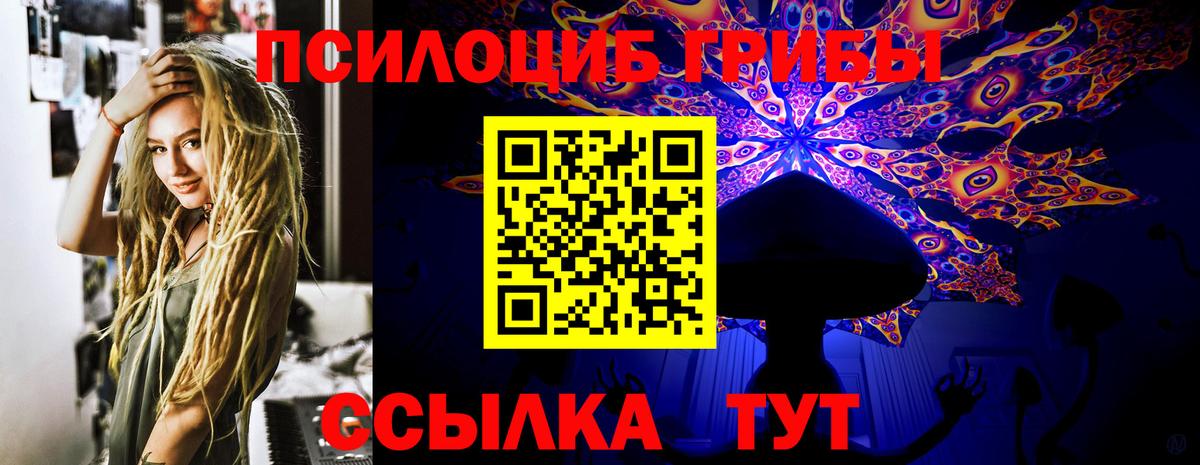 Псилоцибиновые грибы Cubensis  дарнет шоп  Чапаевск  Вход с VPN 